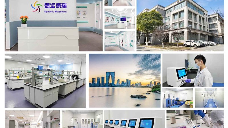 抗体亲和力测定与ELISA：技术差异与应用解析**
