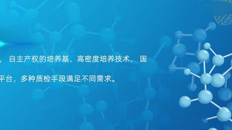 CRS优化服务报价趋势解析：揭秘行业动态与决策要点