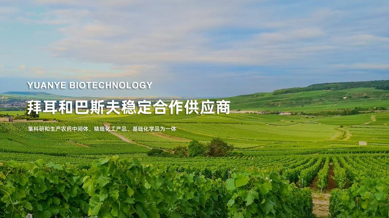 国产分子生物学试剂哪个牌子好