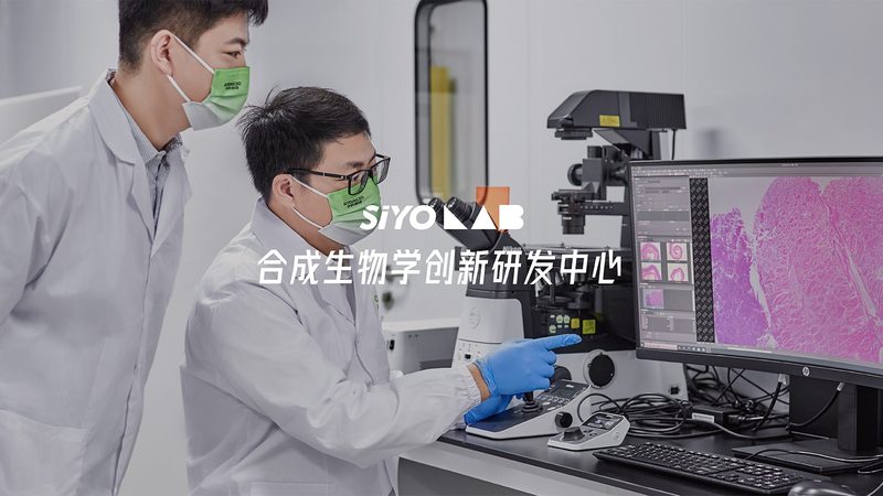 临床试验数据管理：CRo如何高效保障数据质量