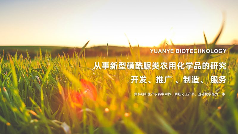 PCR实验室装修：揭秘价格构成与关键要素