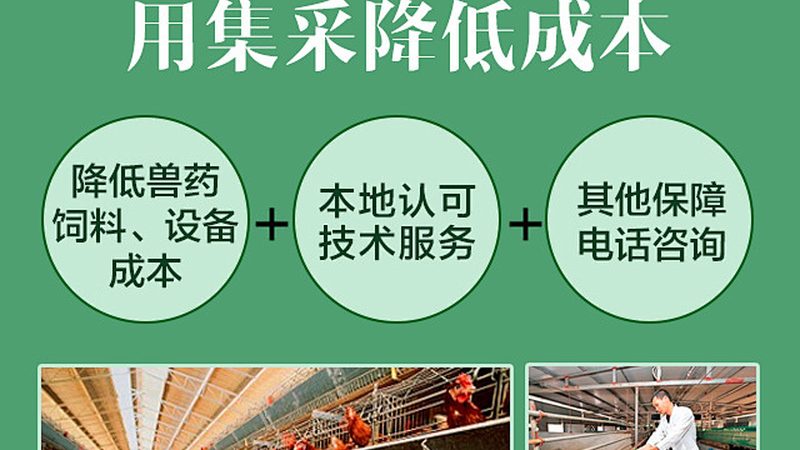 生物检测服务标准规范：最新版解读与行业影响