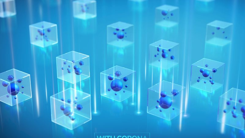 磷酸化抗体WB结果分析：关键步骤与解读技巧**