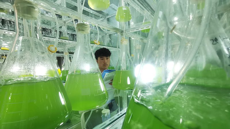 原料药供应商，如何选择最可靠？**